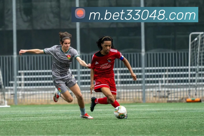 战术分析频道
